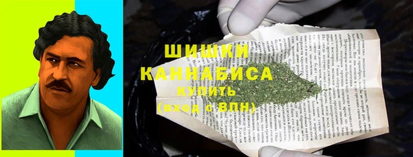 ПСИЛОЦИБИНОВЫЕ ГРИБЫ Абаза