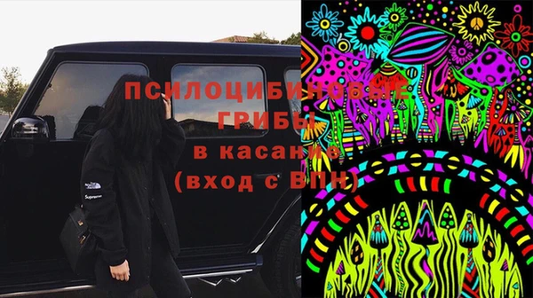apvp Абинск