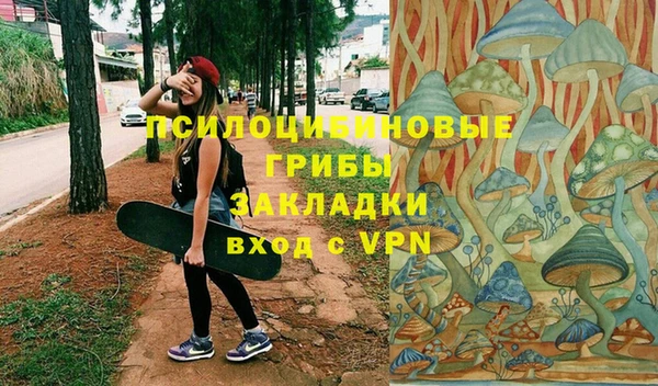 ПСИЛОЦИБИНОВЫЕ ГРИБЫ Абаза
