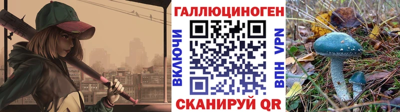 Псилоцибиновые грибы Psilocybe  МЕГА онион  Нерчинск 